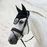 White horse wearing a black ear bonnet on a sandy background